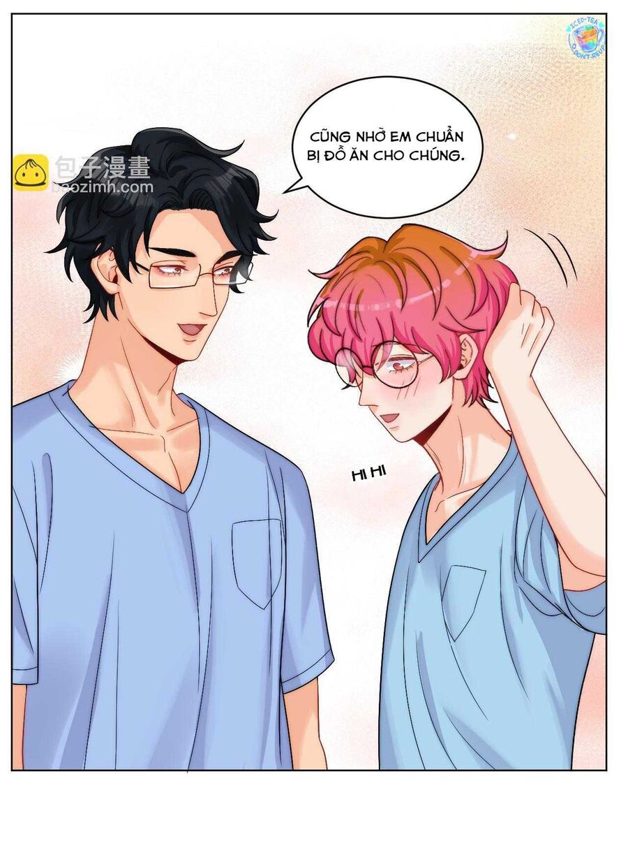 Ký Túc Xá Nam Phòng 303: Chapter 249