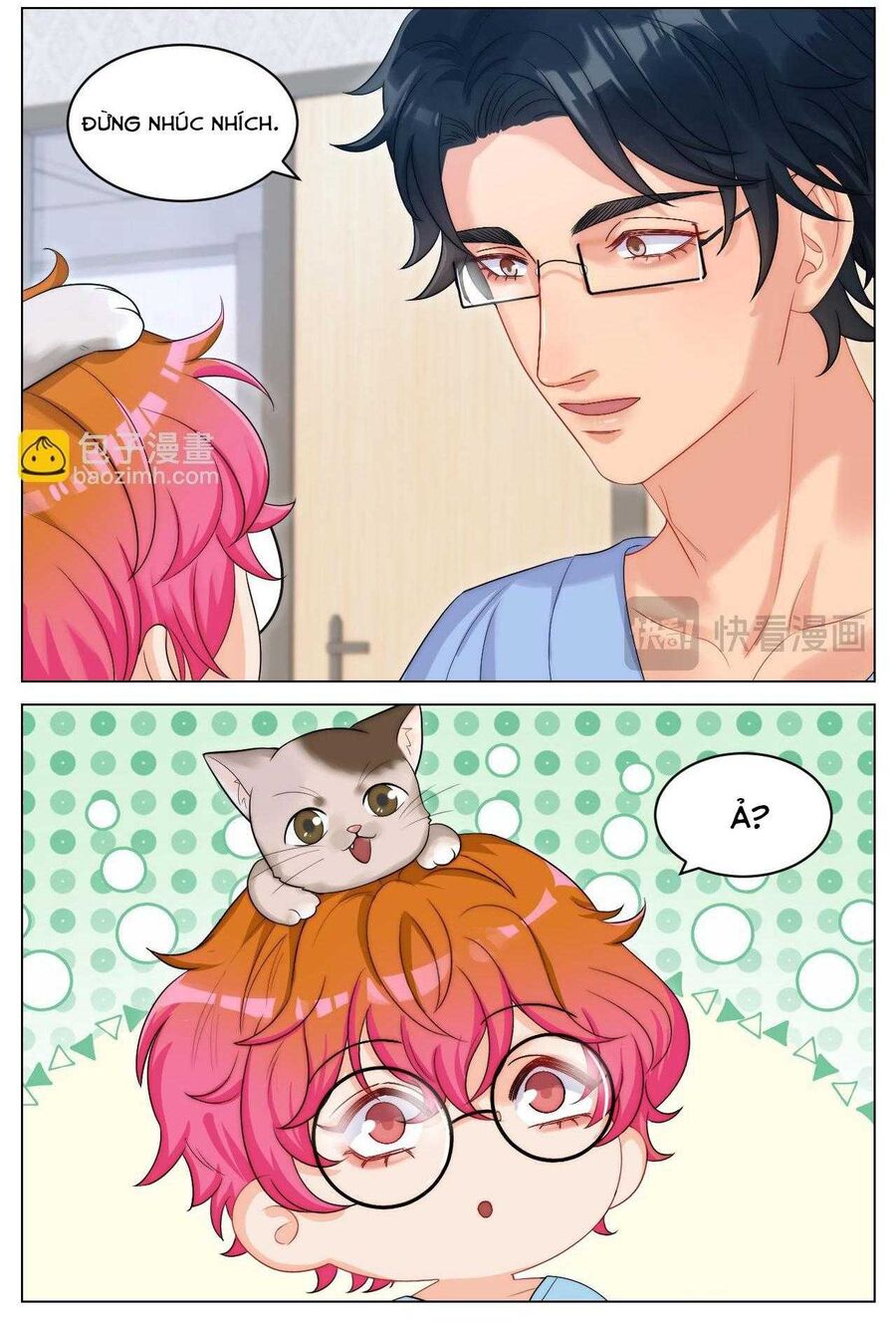 Ký Túc Xá Nam Phòng 303: Chapter 249