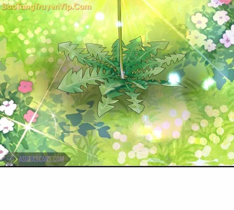 Làm Ơn Dừng Đức Giáo Hoàng Lại: Chapter 15