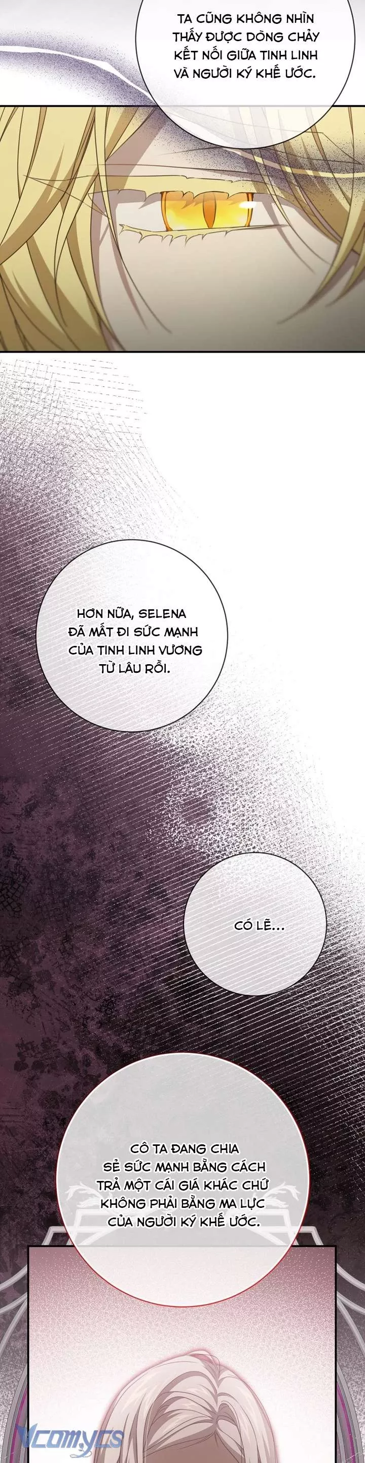 Lần Nữa Toả Sáng: Chapter 111