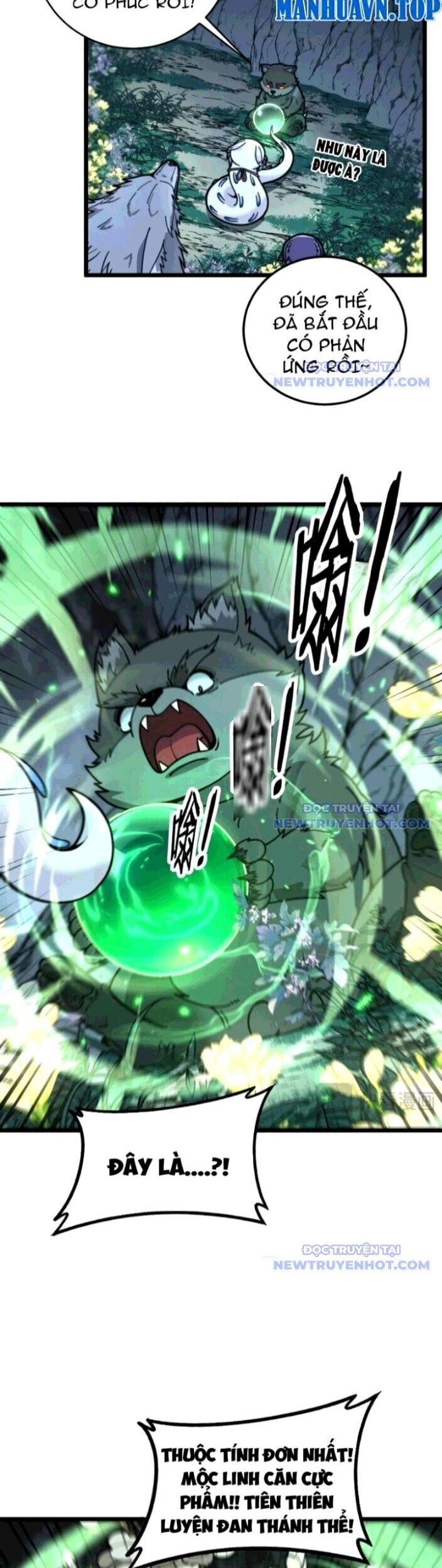 Lão Xà Tu Tiên Truyện: Chapter 29