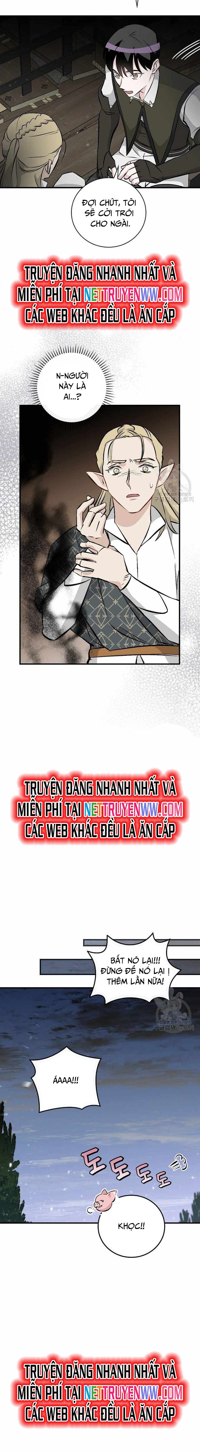 Level Up Chỉ Bằng Cách Ăn Cơm: Chapter 113