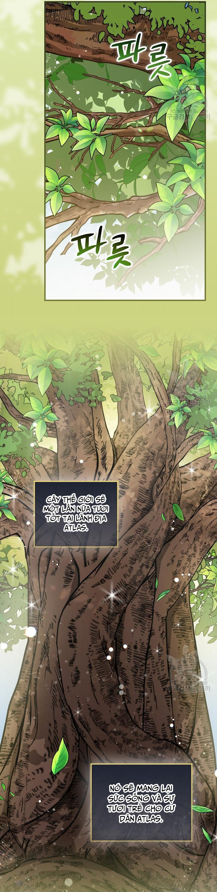 Level Up Chỉ Bằng Cách Ăn Cơm: Chapter 157