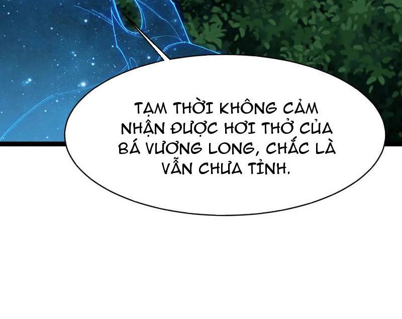 Linh Khí Khôi Phục: Từ Cá Chép Tiến Hoá Thành Thần Long: Chapter 29