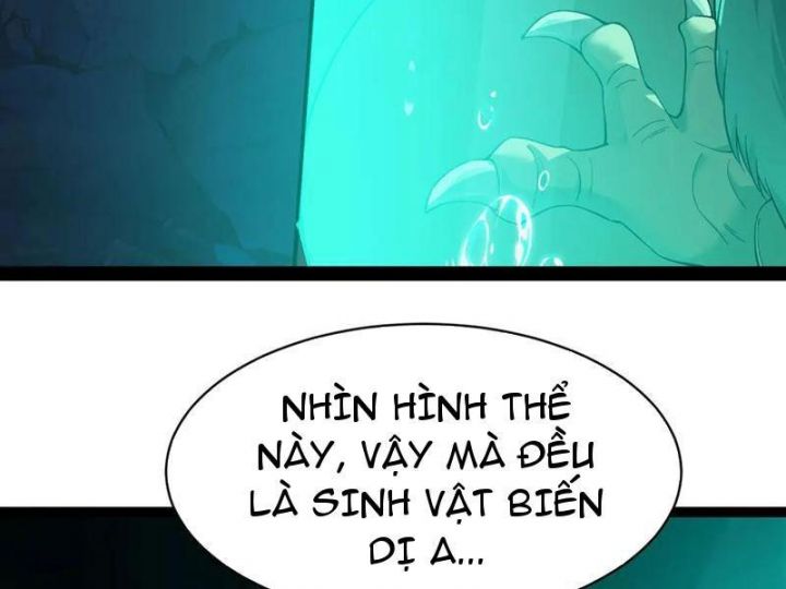 Linh Khí Khôi Phục: Từ Cá Chép Tiến Hoá Thành Thần Long: Chapter 31