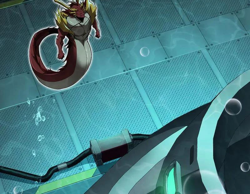 Linh Khí Khôi Phục: Từ Cá Chép Tiến Hoá Thành Thần Long: Chapter 34