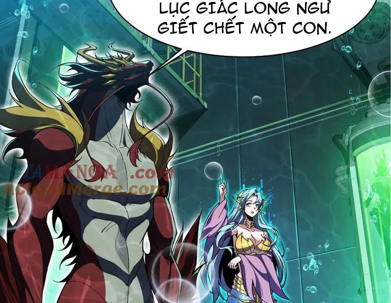 Linh Khí Khôi Phục: Từ Cá Chép Tiến Hoá Thành Thần Long: Chapter 34