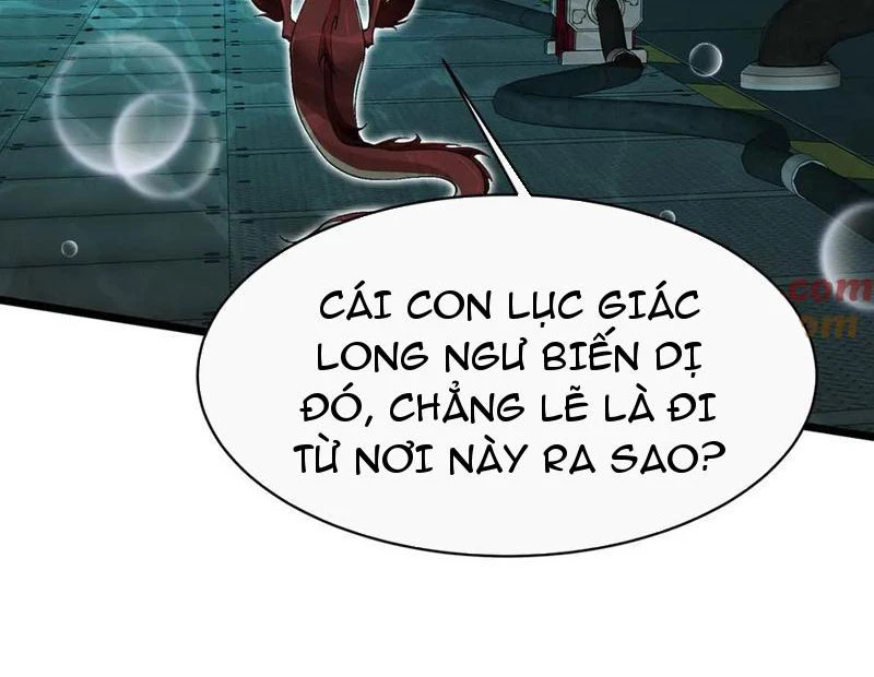 Linh Khí Khôi Phục: Từ Cá Chép Tiến Hoá Thành Thần Long: Chapter 34