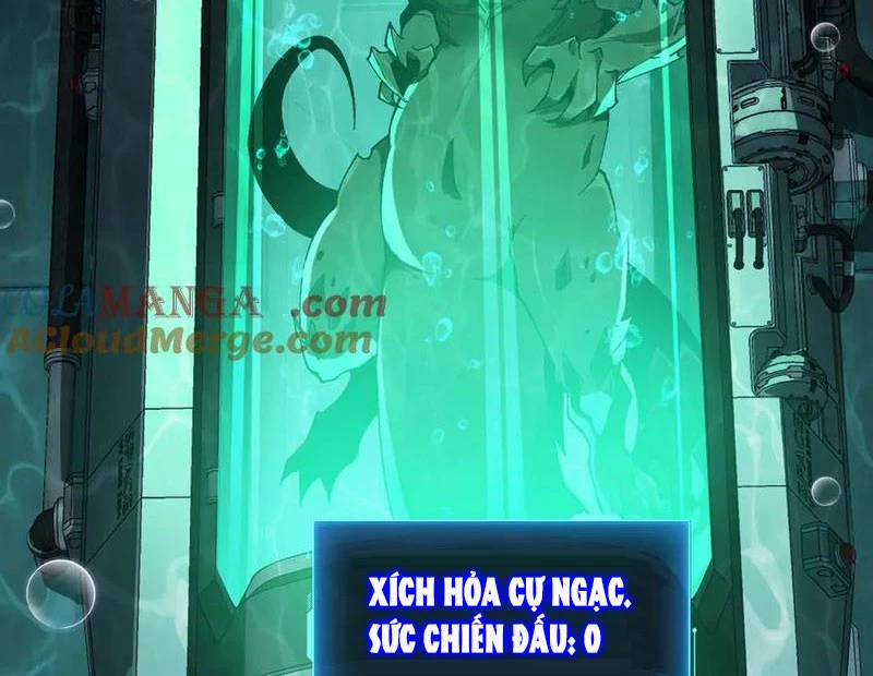 Linh Khí Khôi Phục: Từ Cá Chép Tiến Hoá Thành Thần Long: Chapter 34