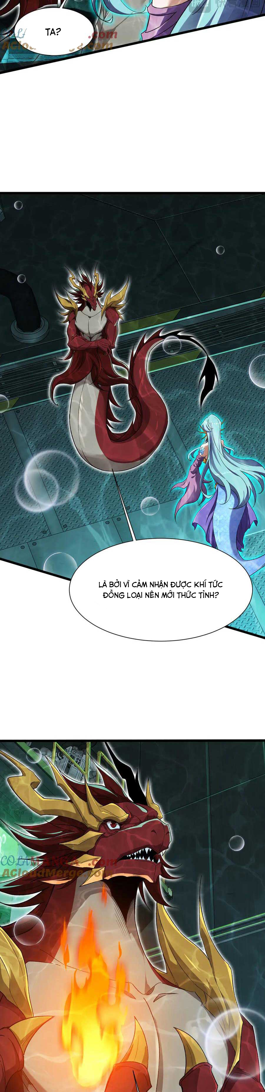 Linh Khí Khôi Phục: Từ Cá Chép Tiến Hoá Thành Thần Long: Chapter 35