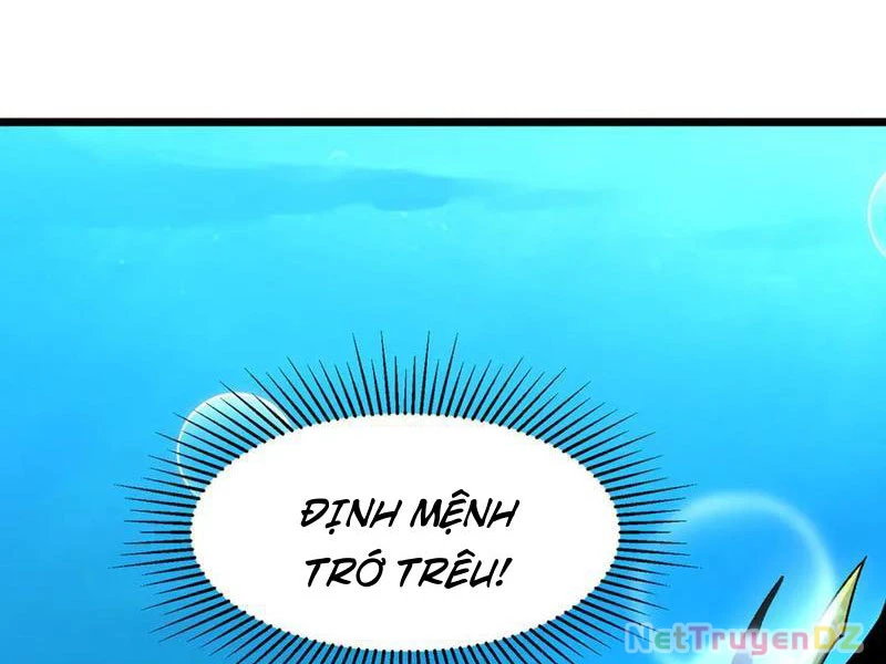 Linh Khí Khôi Phục: Từ Cá Chép Tiến Hoá Thành Thần Long: Chapter 36