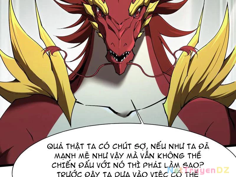 Linh Khí Khôi Phục: Từ Cá Chép Tiến Hoá Thành Thần Long: Chapter 36