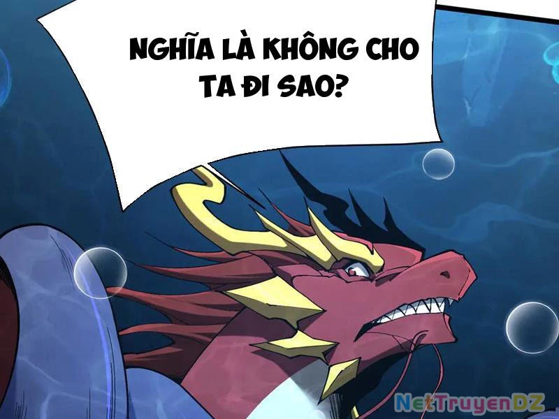 Linh Khí Khôi Phục: Từ Cá Chép Tiến Hoá Thành Thần Long: Chapter 36