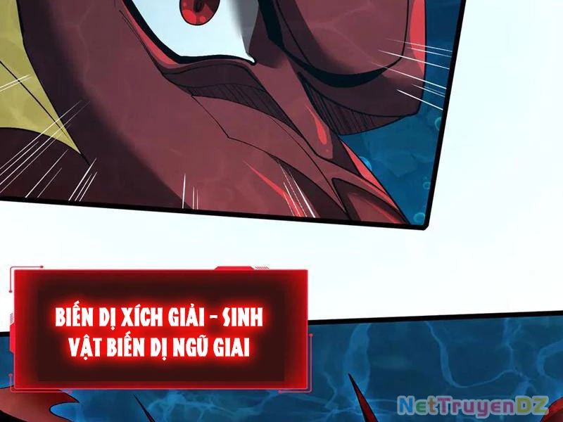 Linh Khí Khôi Phục: Từ Cá Chép Tiến Hoá Thành Thần Long: Chapter 36