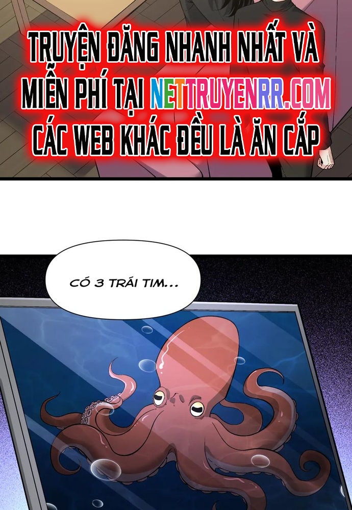 Linh Khí Khôi Phục: Từ Cá Chép Tiến Hoá Thành Thần Long: Chapter 37