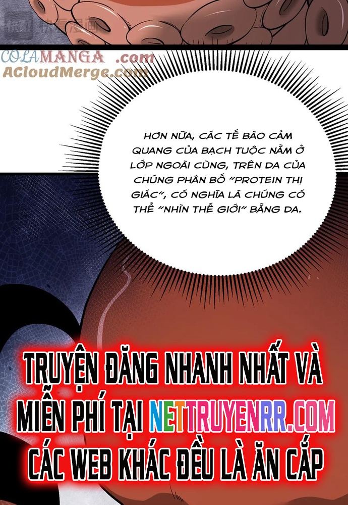 Linh Khí Khôi Phục: Từ Cá Chép Tiến Hoá Thành Thần Long: Chapter 37
