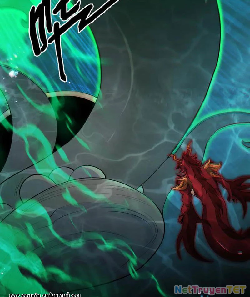 Linh Khí Khôi Phục: Từ Cá Chép Tiến Hoá Thành Thần Long: Chapter 40