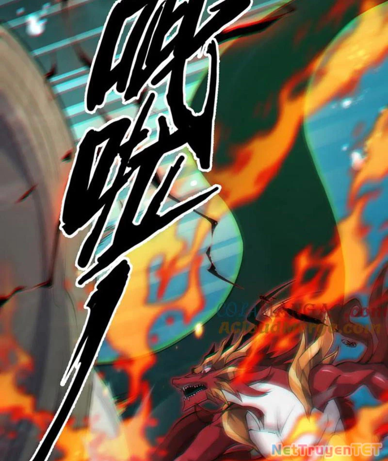 Linh Khí Khôi Phục: Từ Cá Chép Tiến Hoá Thành Thần Long: Chapter 40