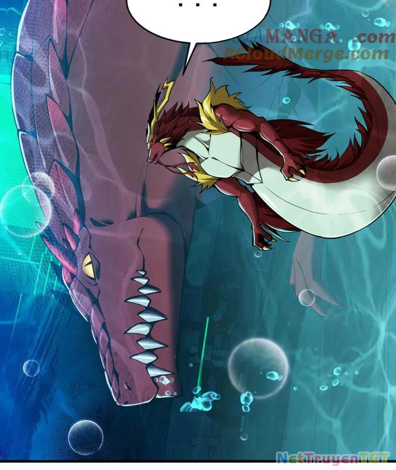 Linh Khí Khôi Phục: Từ Cá Chép Tiến Hoá Thành Thần Long: Chapter 40