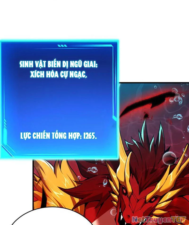 Linh Khí Khôi Phục: Từ Cá Chép Tiến Hoá Thành Thần Long: Chapter 40