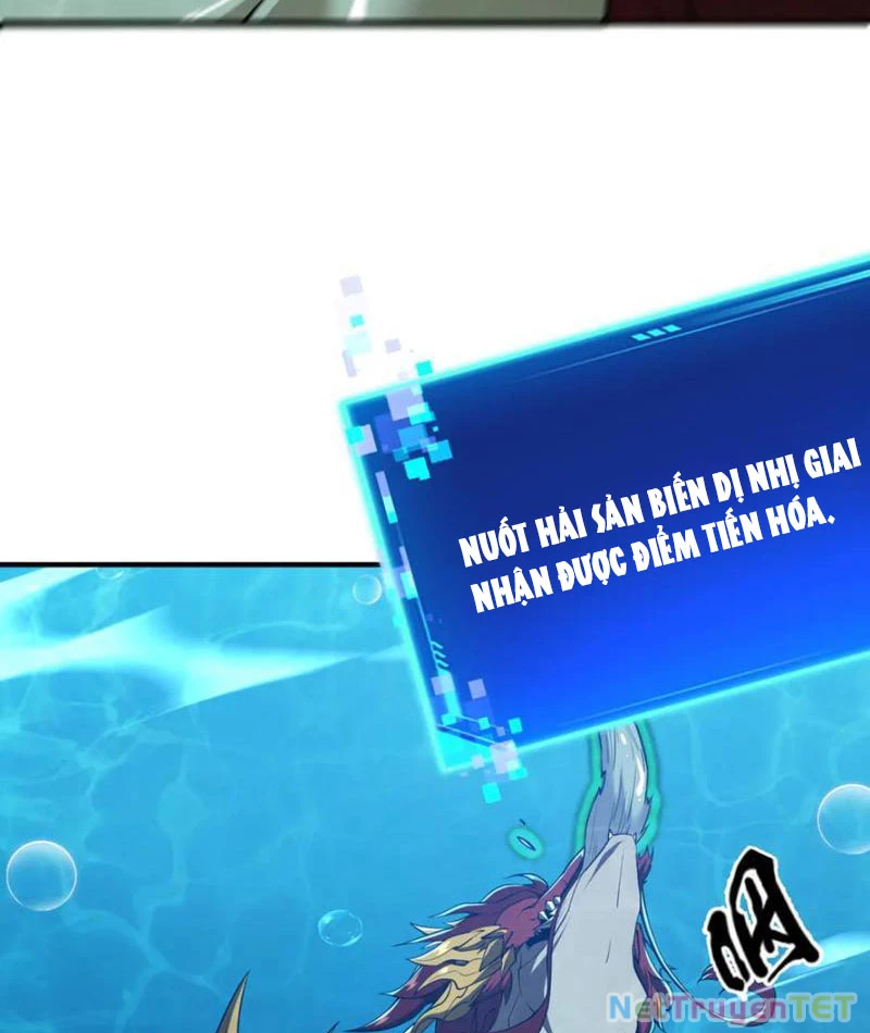 Linh Khí Khôi Phục: Từ Cá Chép Tiến Hoá Thành Thần Long: Chapter 40