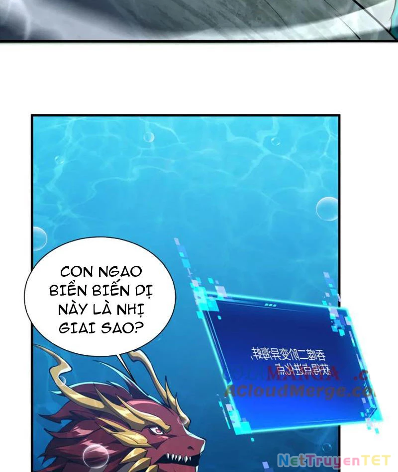 Linh Khí Khôi Phục: Từ Cá Chép Tiến Hoá Thành Thần Long: Chapter 40