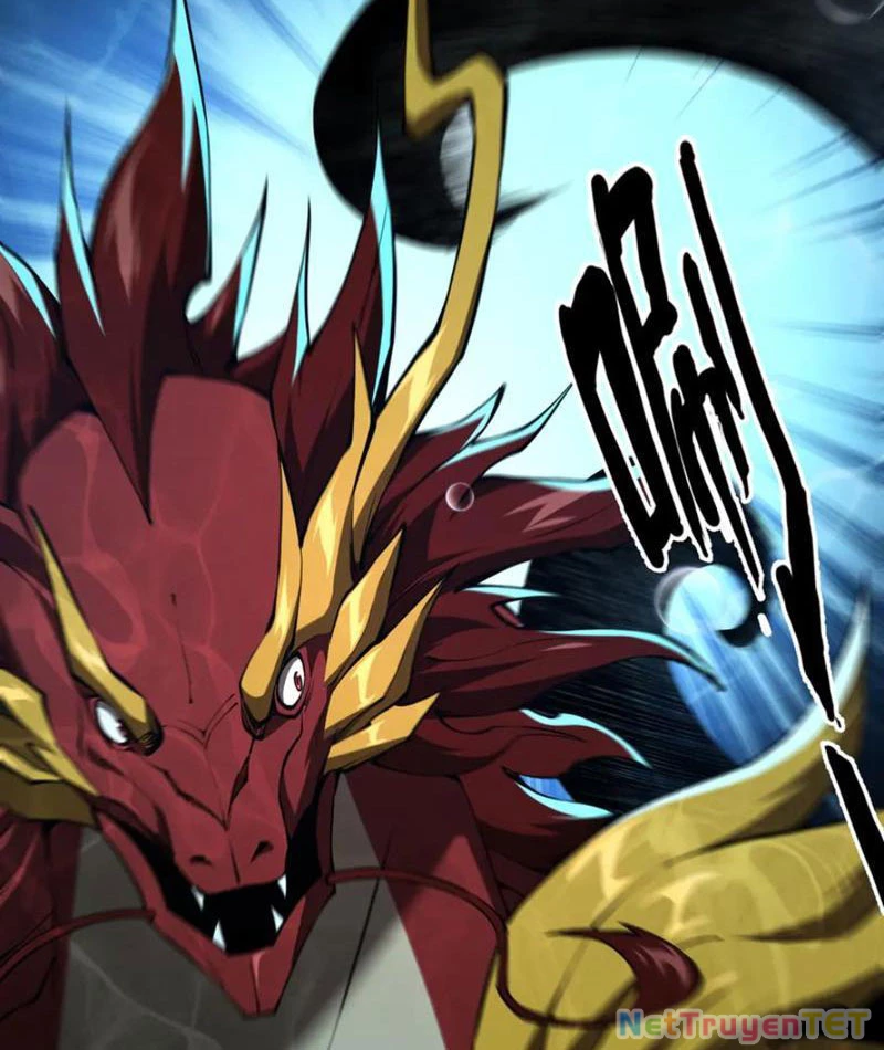 Linh Khí Khôi Phục: Từ Cá Chép Tiến Hoá Thành Thần Long: Chapter 40
