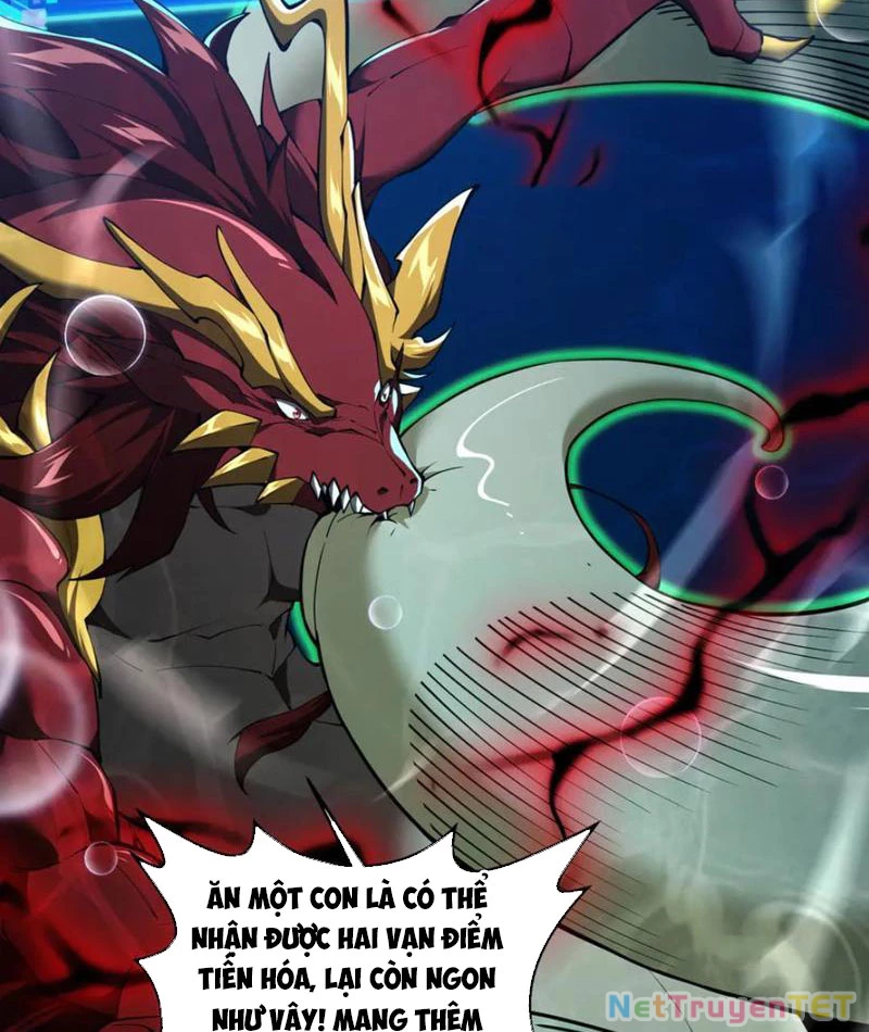 Linh Khí Khôi Phục: Từ Cá Chép Tiến Hoá Thành Thần Long: Chapter 40