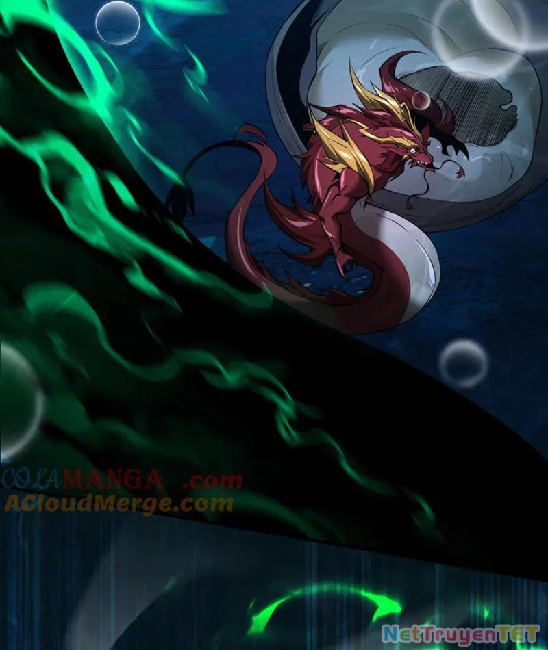 Linh Khí Khôi Phục: Từ Cá Chép Tiến Hoá Thành Thần Long: Chapter 40