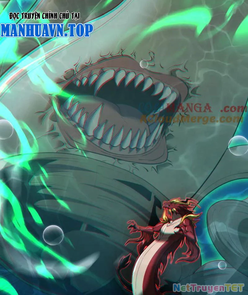 Linh Khí Khôi Phục: Từ Cá Chép Tiến Hoá Thành Thần Long: Chapter 40
