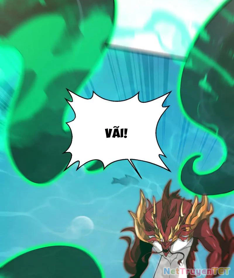 Linh Khí Khôi Phục: Từ Cá Chép Tiến Hoá Thành Thần Long: Chapter 40