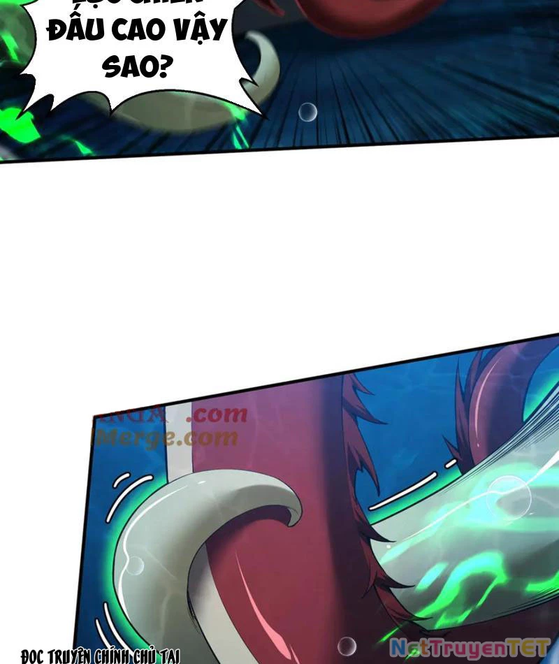Linh Khí Khôi Phục: Từ Cá Chép Tiến Hoá Thành Thần Long: Chapter 40