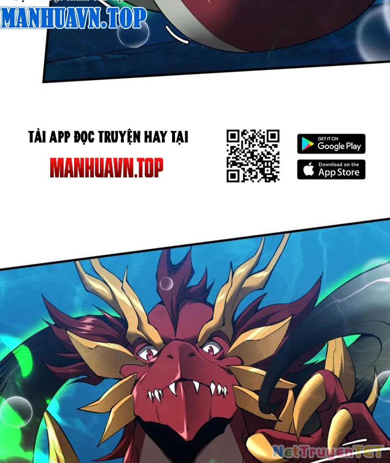 Linh Khí Khôi Phục: Từ Cá Chép Tiến Hoá Thành Thần Long: Chapter 40
