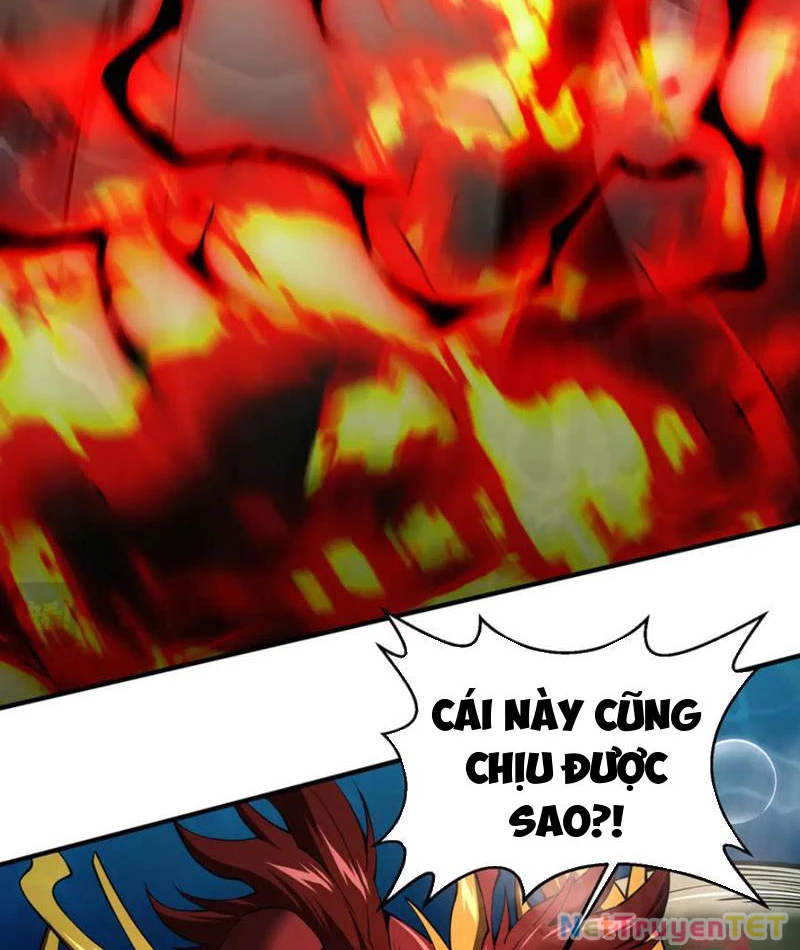Linh Khí Khôi Phục: Từ Cá Chép Tiến Hoá Thành Thần Long: Chapter 40