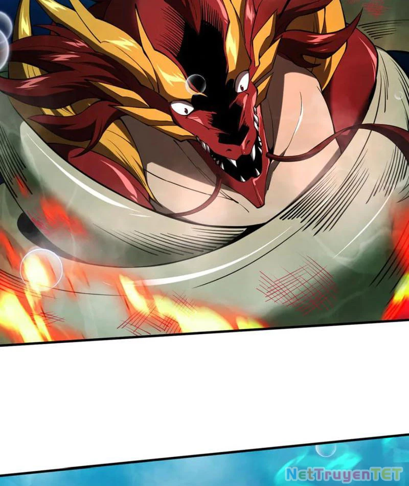 Linh Khí Khôi Phục: Từ Cá Chép Tiến Hoá Thành Thần Long: Chapter 40