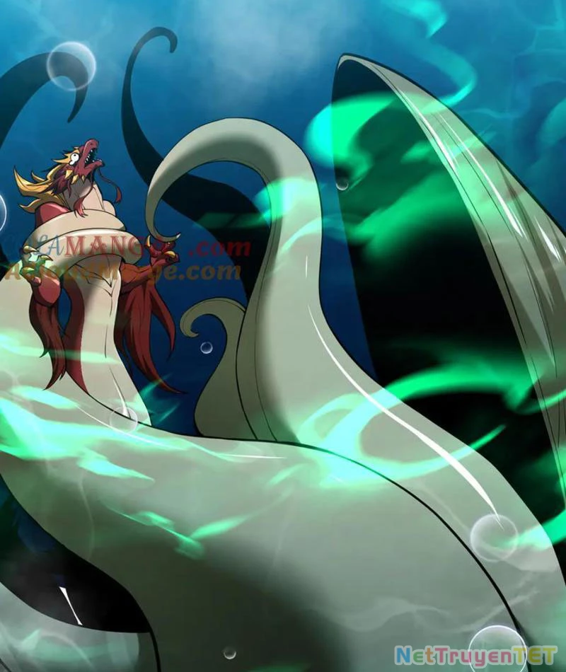 Linh Khí Khôi Phục: Từ Cá Chép Tiến Hoá Thành Thần Long: Chapter 40