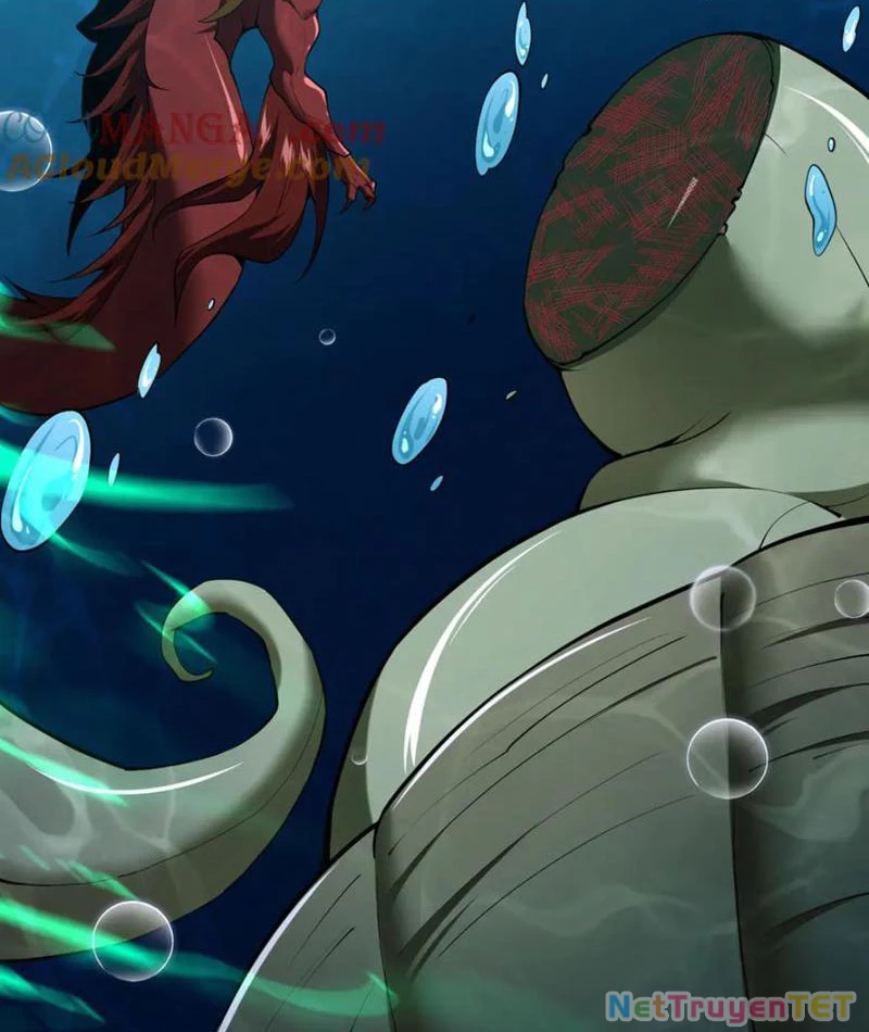 Linh Khí Khôi Phục: Từ Cá Chép Tiến Hoá Thành Thần Long: Chapter 40