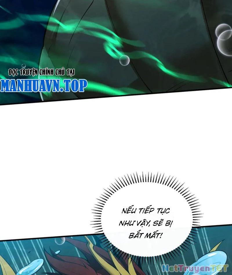 Linh Khí Khôi Phục: Từ Cá Chép Tiến Hoá Thành Thần Long: Chapter 40