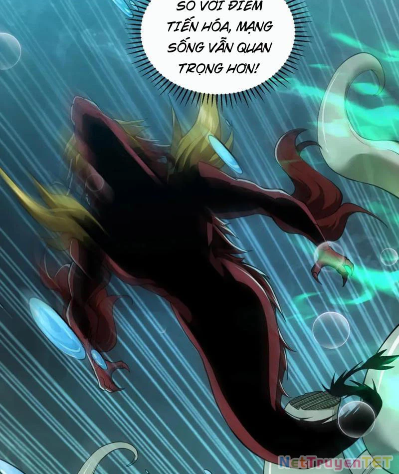 Linh Khí Khôi Phục: Từ Cá Chép Tiến Hoá Thành Thần Long: Chapter 40