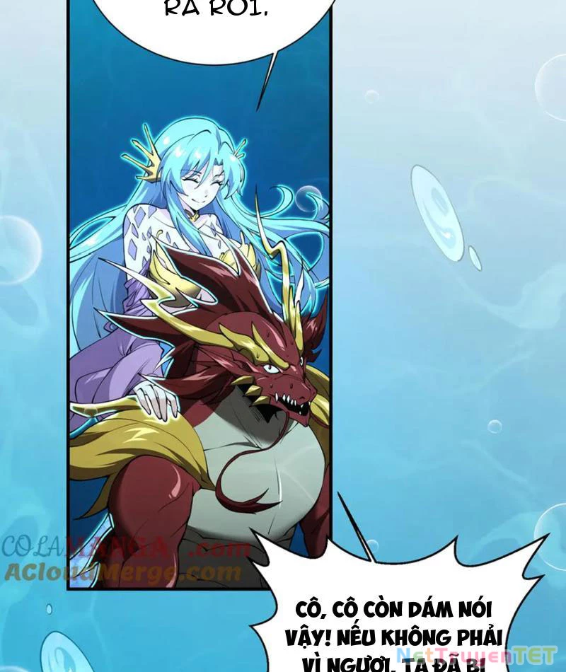 Linh Khí Khôi Phục: Từ Cá Chép Tiến Hoá Thành Thần Long: Chapter 40