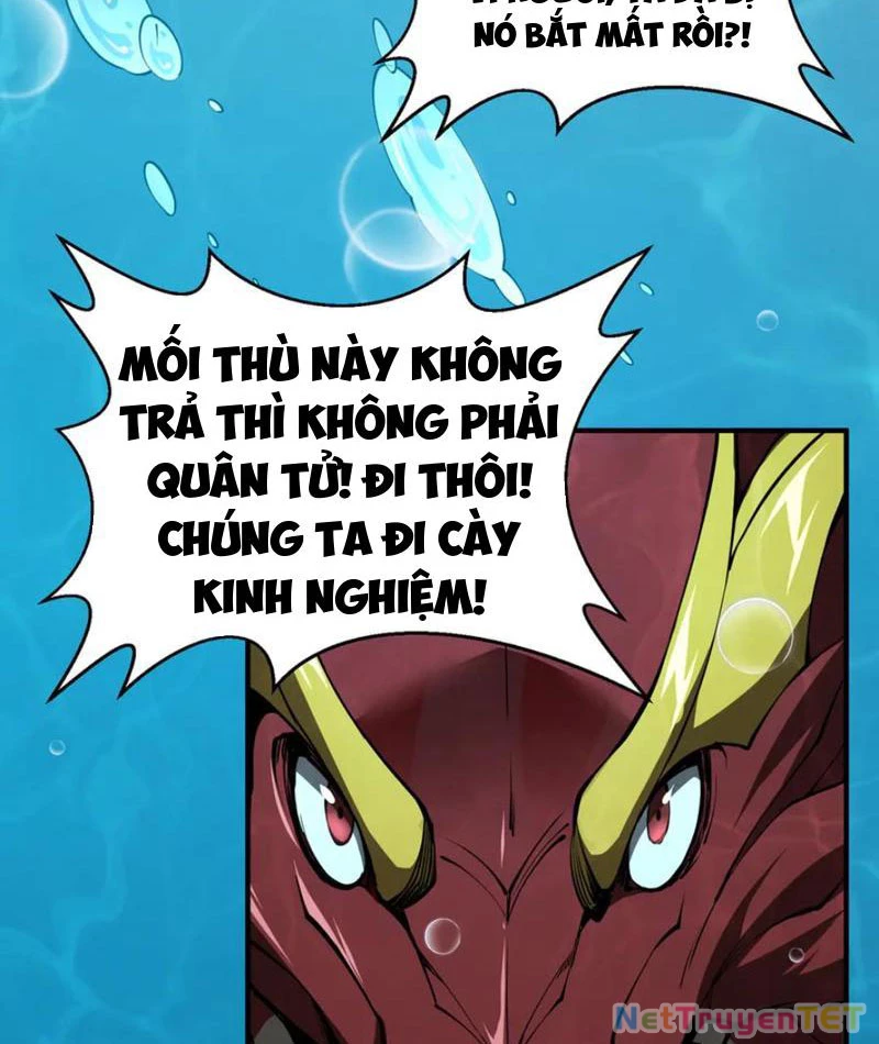Linh Khí Khôi Phục: Từ Cá Chép Tiến Hoá Thành Thần Long: Chapter 40