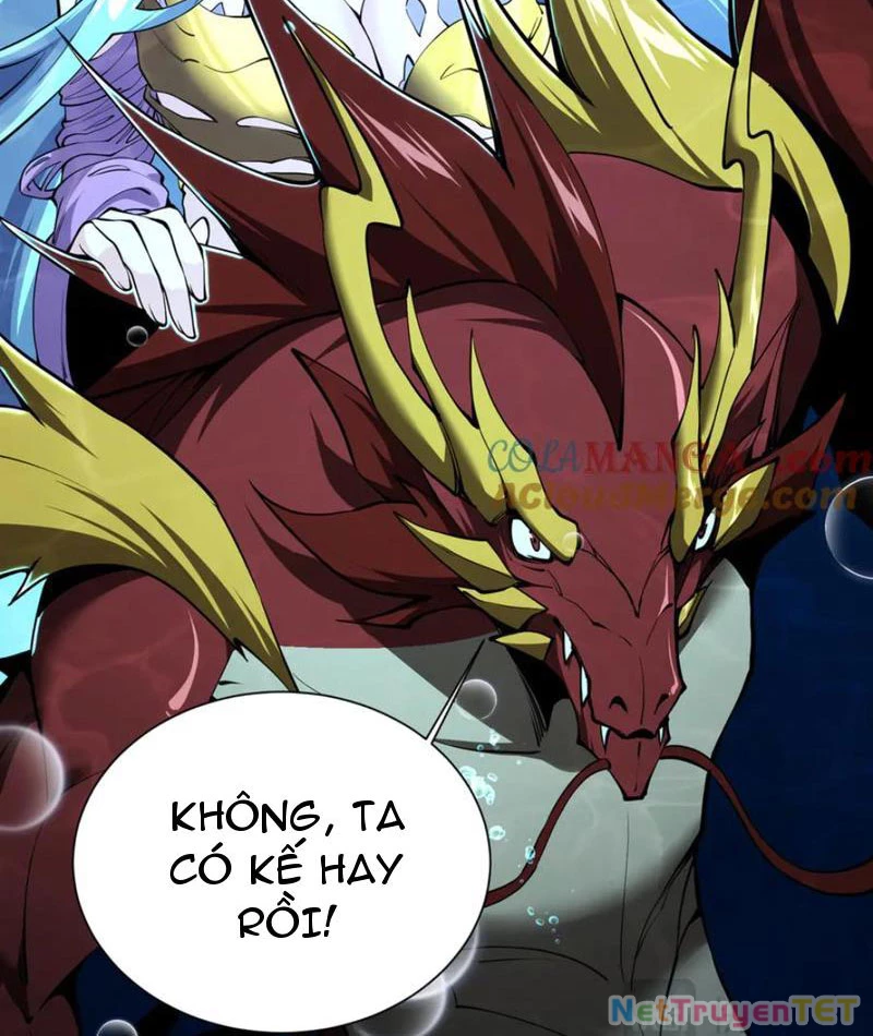 Linh Khí Khôi Phục: Từ Cá Chép Tiến Hoá Thành Thần Long: Chapter 40