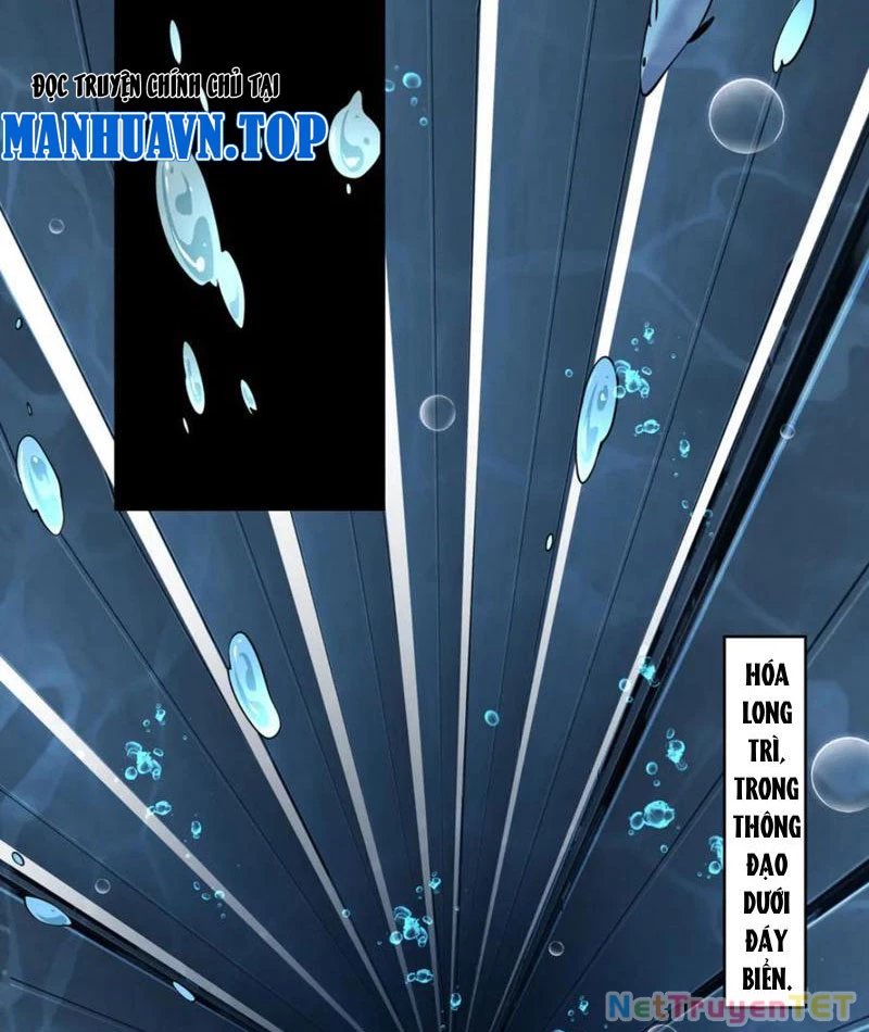 Linh Khí Khôi Phục: Từ Cá Chép Tiến Hoá Thành Thần Long: Chapter 40