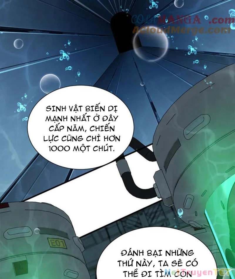 Linh Khí Khôi Phục: Từ Cá Chép Tiến Hoá Thành Thần Long: Chapter 40