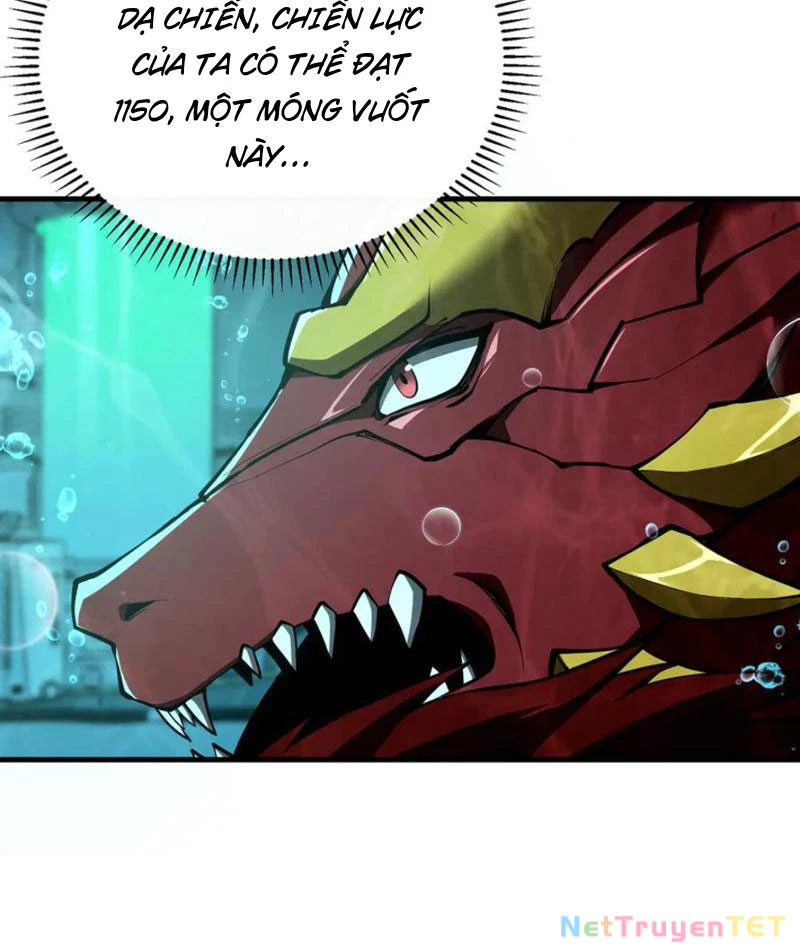 Linh Khí Khôi Phục: Từ Cá Chép Tiến Hoá Thành Thần Long: Chapter 40