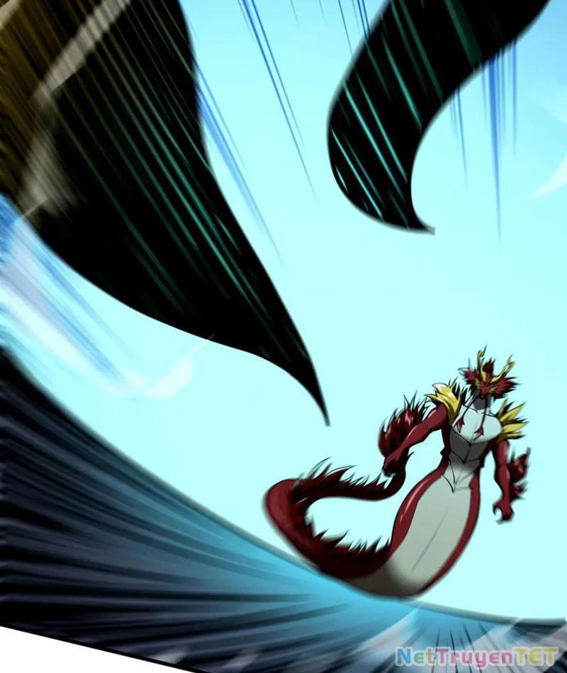Linh Khí Khôi Phục: Từ Cá Chép Tiến Hoá Thành Thần Long: Chapter 40
