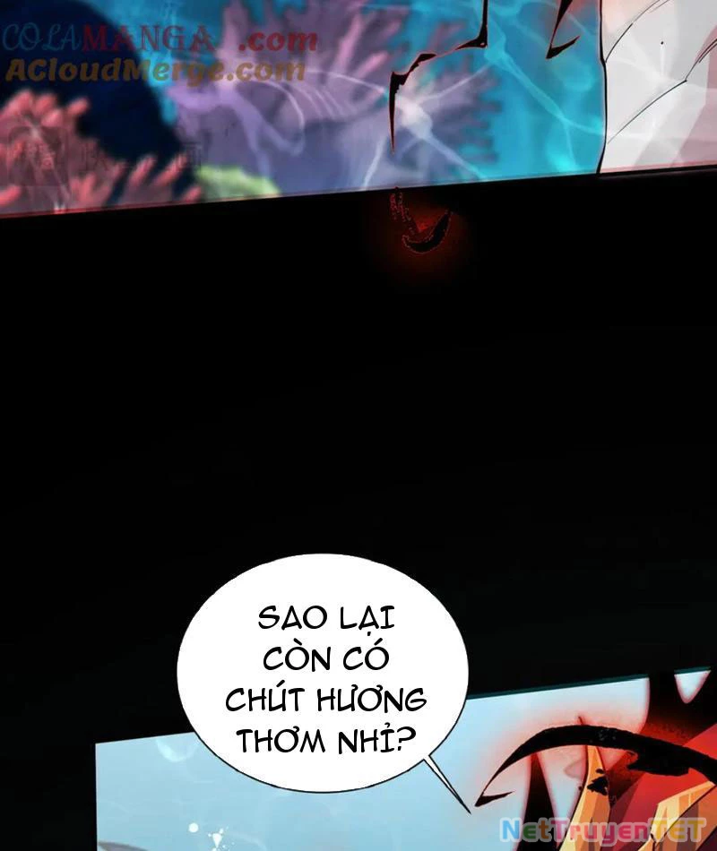 Linh Khí Khôi Phục: Từ Cá Chép Tiến Hoá Thành Thần Long: Chapter 40