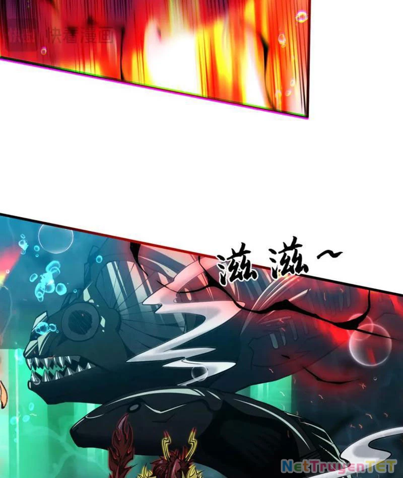 Linh Khí Khôi Phục: Từ Cá Chép Tiến Hoá Thành Thần Long: Chapter 40