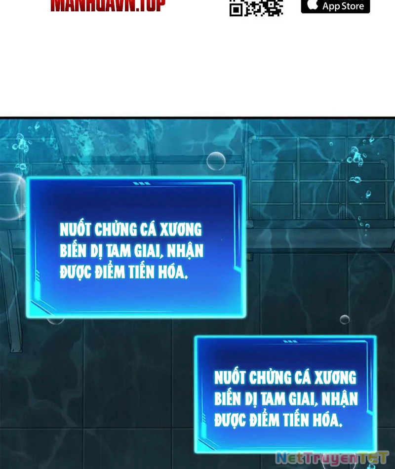 Linh Khí Khôi Phục: Từ Cá Chép Tiến Hoá Thành Thần Long: Chapter 40