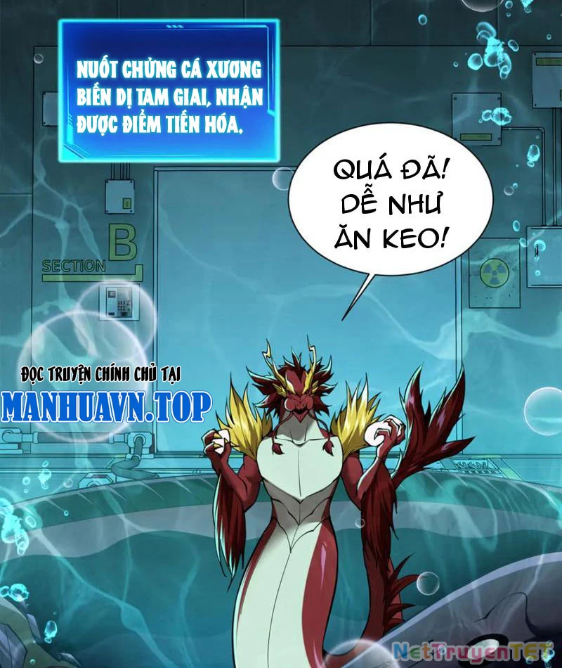 Linh Khí Khôi Phục: Từ Cá Chép Tiến Hoá Thành Thần Long: Chapter 40